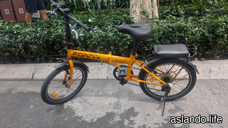 The Micro-Mobility Void: Fixing a Bicycle and Optimizing Urban Transport